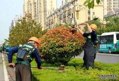 青州市：黨建紅+園林綠+環(huán)衛(wèi)橙，合力打造全域花園城市